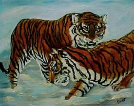Siberian Tigers